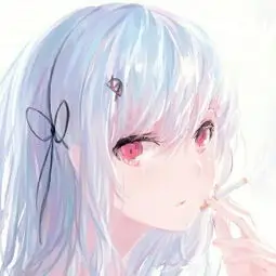 沙发土豆的头像
